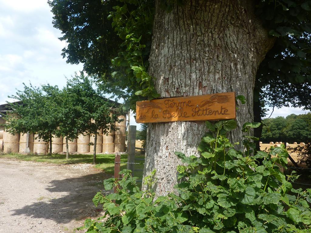 Gîte de la belle attente Marques Extérieur photo